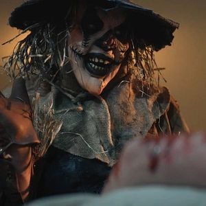 Foto La Noche Del Espantapájaros