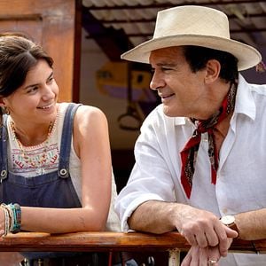 Foto Paddington Aventura En La Selva