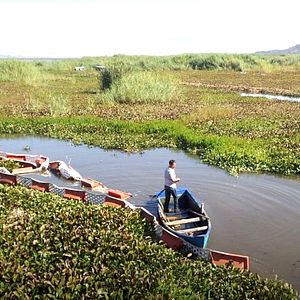 Foto Por encima del Agua