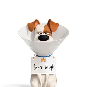 Foto La vida secreta de tus mascotas 2