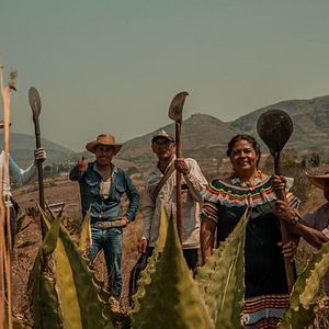 Foto Las hijas del maguey