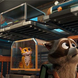 Foto Mascotas al rescate