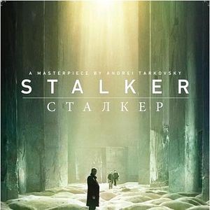 Foto Stalker: La zona