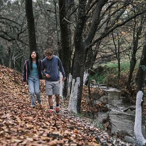 Foto Haz Que Regrese