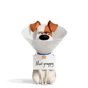 Foto La vida secreta de tus mascotas 2