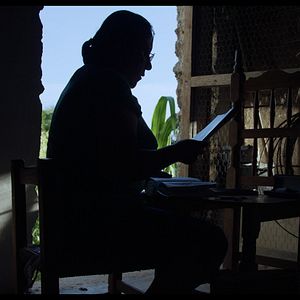 Foto El tiempo de las luciérnagas