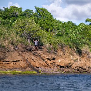 Foto Las cuatro estaciones