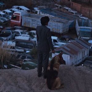 Foto El ladrón de perros