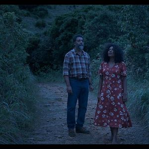 Foto Turtle’s Gaze on Spying Stars