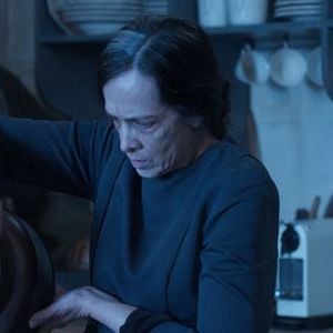 Foto Jugaremos en el bosque