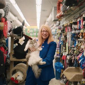 Foto American Cats: The Good, The Bad & The Cuddly