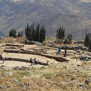 Foto Regreso a Fortín Olmos