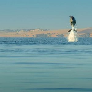 Foto Nuestros océanos