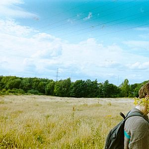 Foto BIRD: Emprender el vuelo