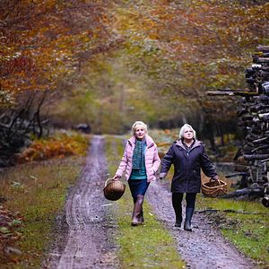 Foto Cuando llega el otoño