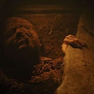 Foto She Loved Blossoms More