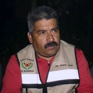 Foto El guardián de las monarcas