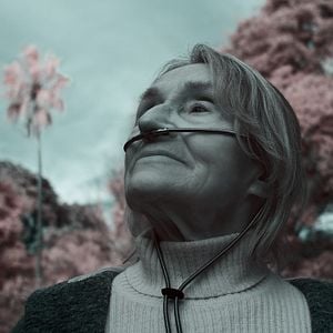 Foto El crepúsculo de las especies