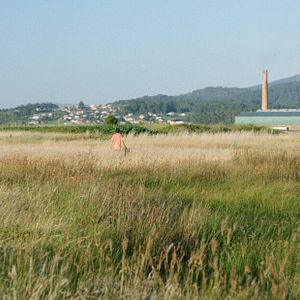 Foto Así llegó la noche