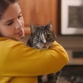 Foto American Cats: The Good, The Bad & The Cuddly