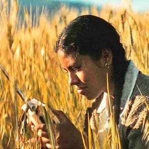 Foto La hija cóndor