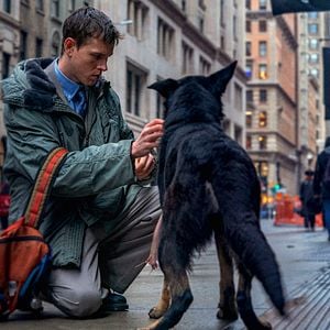 Foto Babygirl: Deseo prohibido