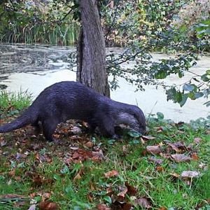 Foto Life on the Deben