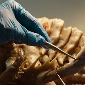 Foto Kraken: Terror en lo profundo