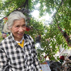 Foto Ms. Hu's Garden