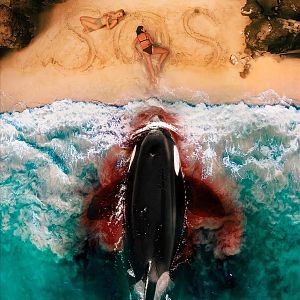 Foto Ballena Asesina