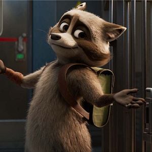 Foto Mascotas al rescate