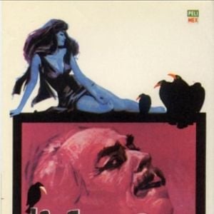 Foto Los cuervos están de luto