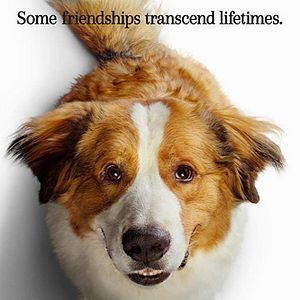 Foto La razón de estar contigo: Un nuevo viaje