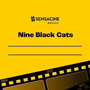 Foto Nine Black Cats