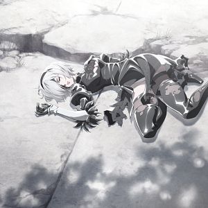 Foto NieR Automata Ver1.1a