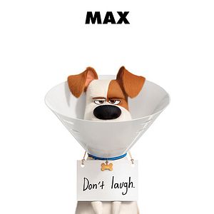 Foto La vida secreta de tus mascotas 2