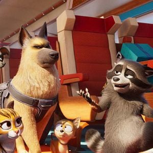 Foto Mascotas al rescate