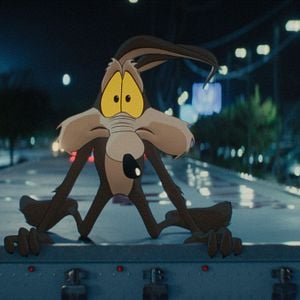 Foto Coyote vs. ACME