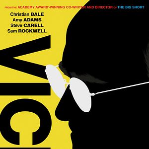 Foto El vicepresidente: más allá del poder