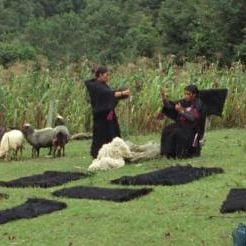 Foto Formas de atravesar un territorio
