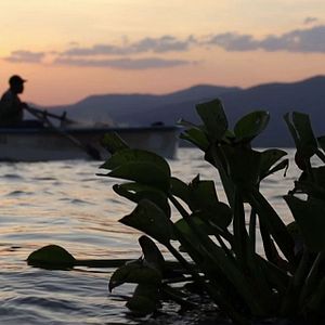 Foto Por encima del Agua