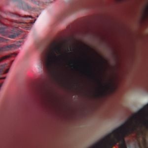 Foto Billie Eilish - Hit Me Hard and Soft: El Tour en 3D