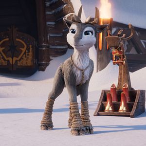 Foto Niko: La aventura de las narices frías