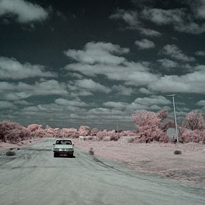 Foto El crepúsculo de las especies