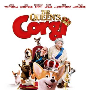 Foto Corgi: Un perro real