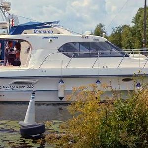 Foto Teddy and the Mountain