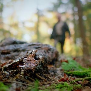Foto De Naturaleza Violenta