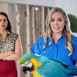 Foto Fly Away With Me