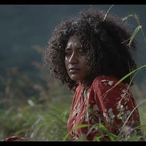 Foto Turtle’s Gaze on Spying Stars