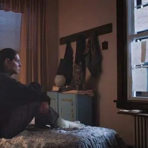 Foto Lo siento, cariño